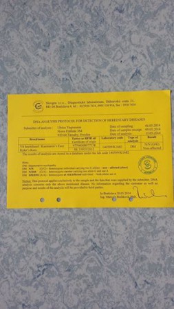 DM Resultat N/N = Non Affected