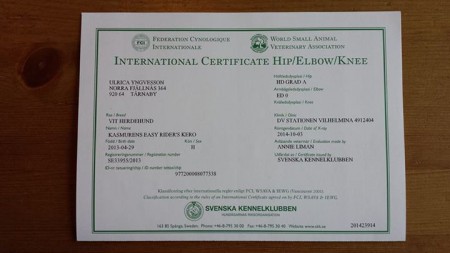 HD: A     ED:0   (Fria höfter och armbågar)