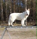 2 år precis <3