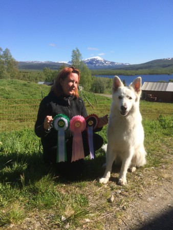 Norge, NKK, Nationell. Ecx, Ck, Stort Cert, Bästa hane, BIM. 150628.