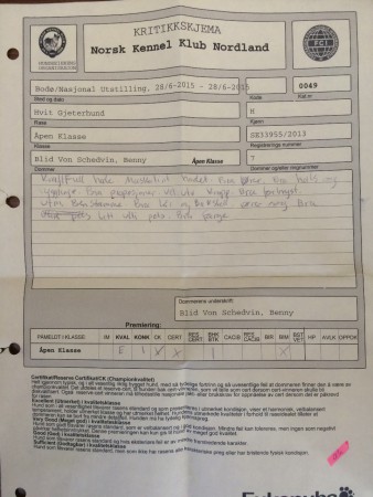 Norge 280615 Stort Cert