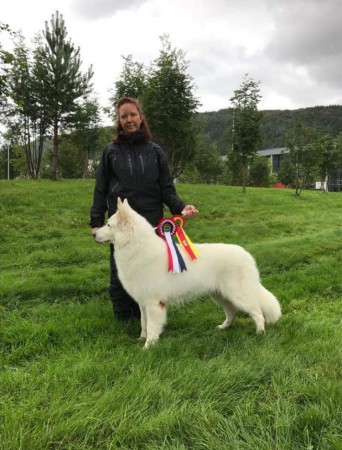 Off Mosjön Norge 2017 Cert Bir